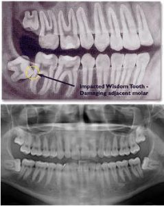 Melissa Family Dental & Orthodontics